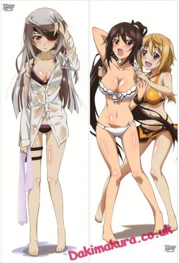 Infinite Stratos - Houki Shinonono Pillow Cover