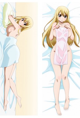 Fairy Tail Lucy Heartfilia Full body waifu japanese anime pillowcases