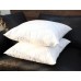 Comfortable Plain Inner Insert Cushion Throw Pillow 45*45cm,40*60cm,40*70cm