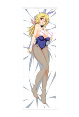 Infinite Stratos Japanese Anime Painting Home Decor Wall Scroll Posters