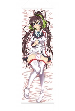 Infinite Stratos Houki Shinonono Japanese Anime Painting Home Decor Wall Scroll Posters