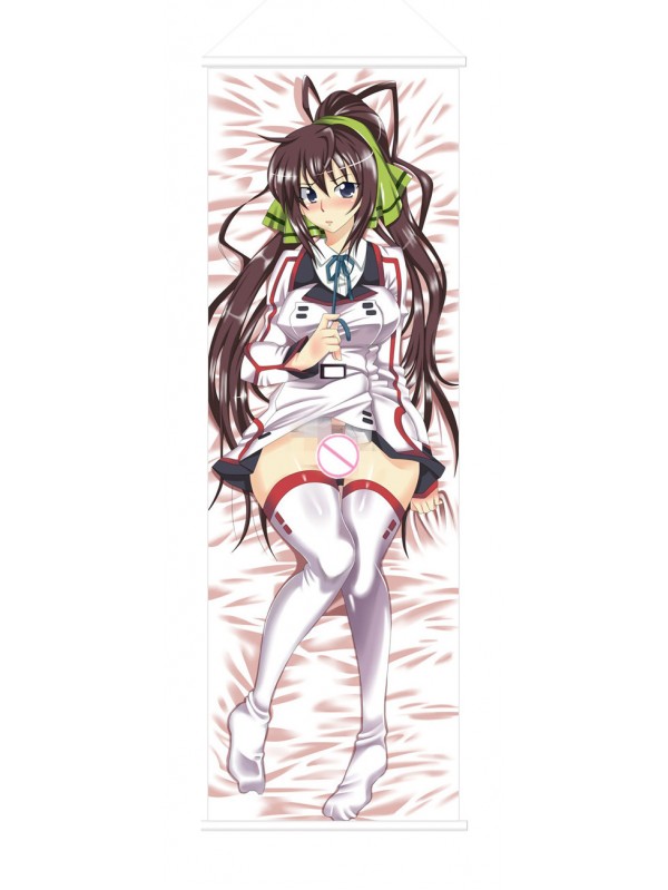 Infinite Stratos Houki Shinonono Japanese Anime Painting Home Decor Wall Scroll Posters