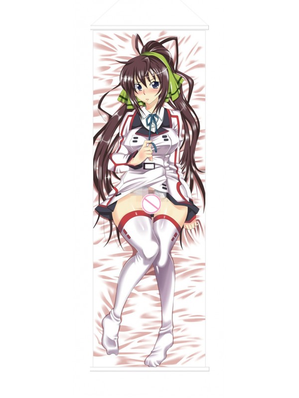 Infinite Stratos Houki Shinonono Japanese Anime Painting Home Decor Wall Scroll Posters